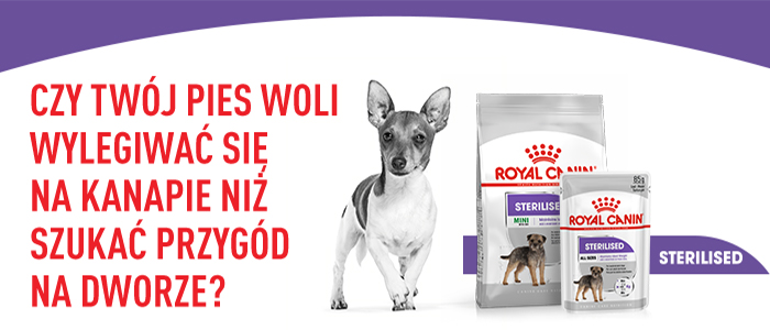 ROYAL CANIN CCN Mini Sterilised sausā barība pieaugušiem suņiem, mazo šķirņu, sterilizētiem 3 kg